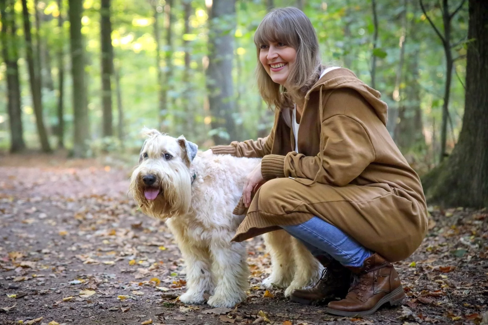 Irish Soft Coated Wheaten Terrier (Hund) mit Frau im Wald